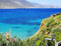 sea